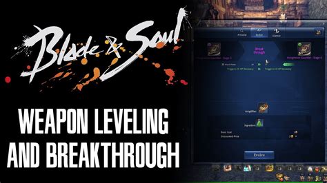 blade and soul weapon lv 6|Explaining the Blade & Soul equipment system so you don’t have to.